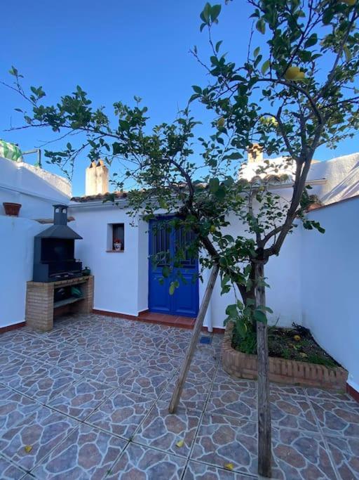 Casa Rosalia Encinasola