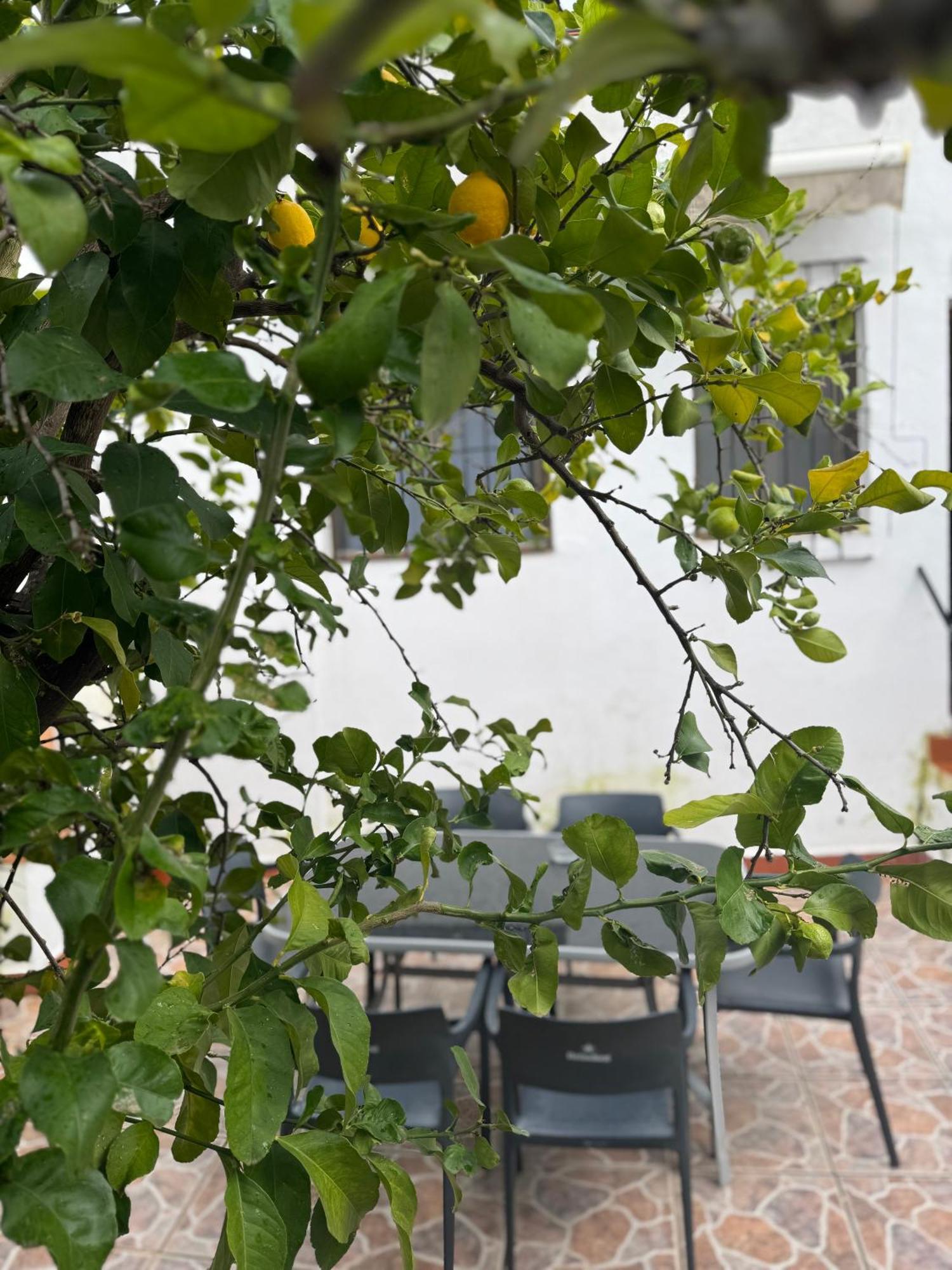 Casa Rosalia