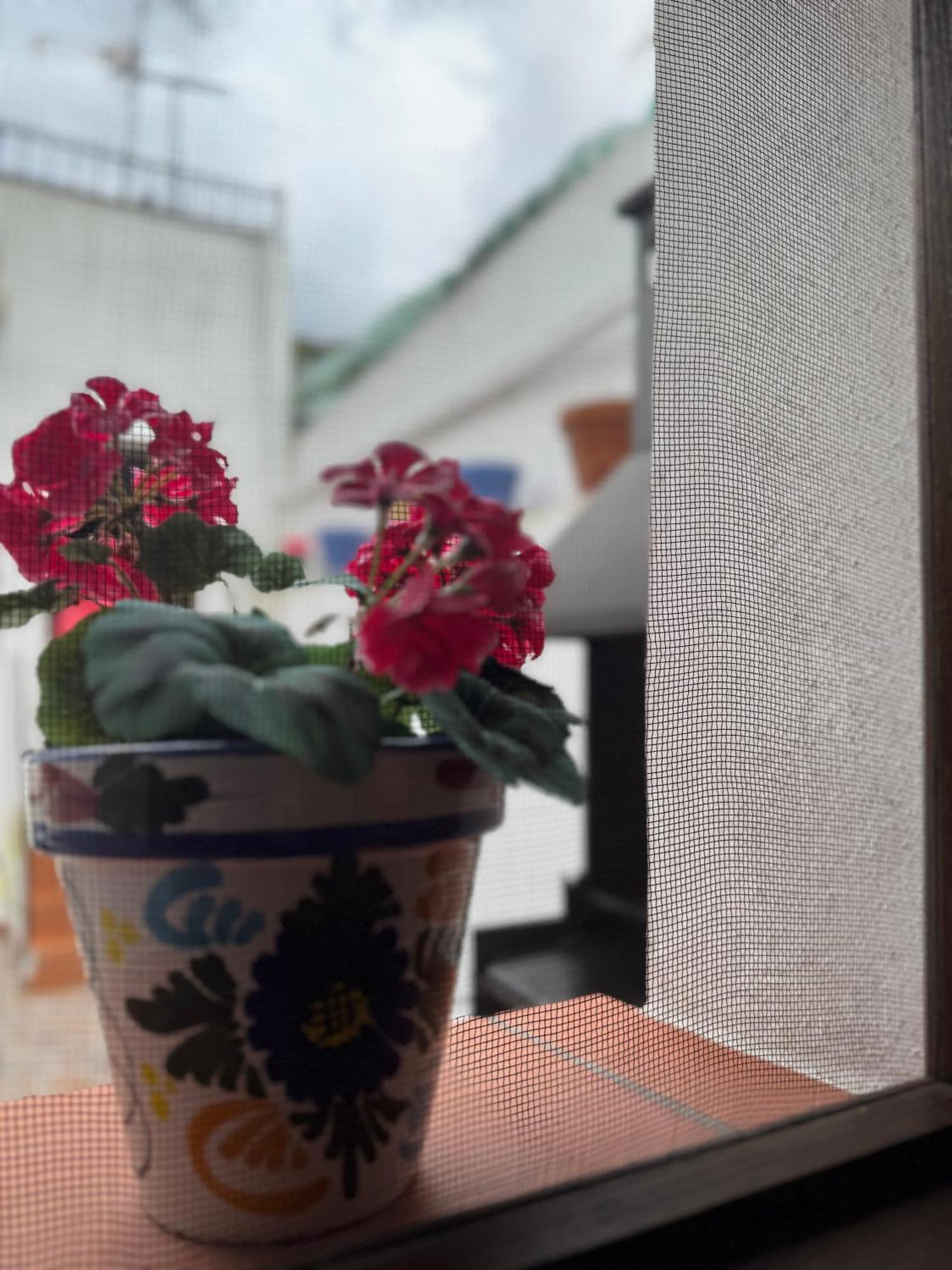 Casa Rosalia Hébergement de vacances Encinasola
